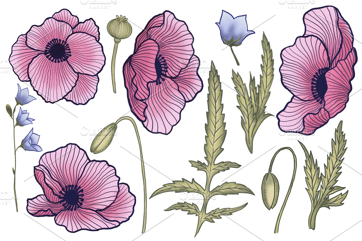 Delicate poppies, a Pattern Graphic by palllna (Photo 4 of 4)