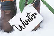 Grinch | Script Font, a Handwritten Font by Scratchones (Thumbnail 5 of 9)
