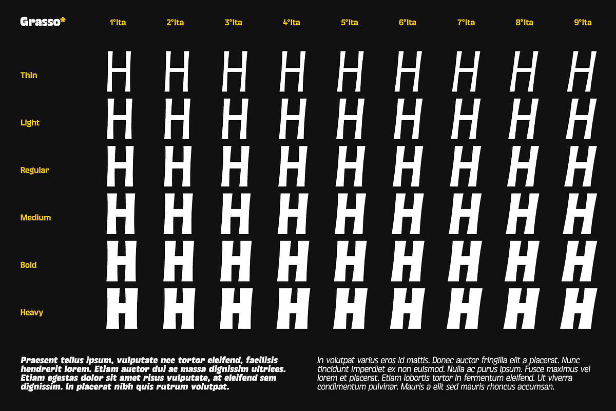 Grasso Variable, a Sans Serif Font by Unio Designs (Photo 5 of 14)