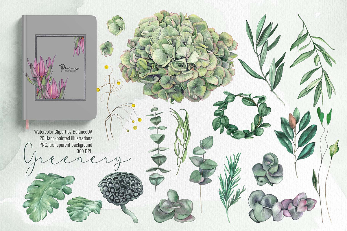 Floral Watercolor clipart, Love, a Decorative Illustration by BalanceUA (Photo 7 of 12)