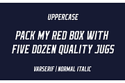 Varserif Font Family, a Serif Font by Alphabet Agency (Thumbnail 6 of 16)
