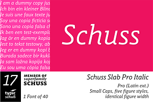 SchussSlabProItalic No.17 1 Font