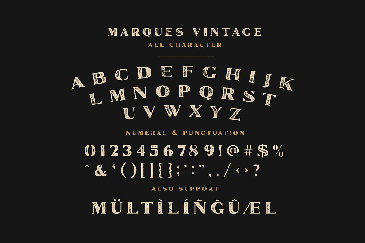 Marques Vintage Font Family + Extras, a Serif Font by Craft Supply Co. (Photo 10 of 10)