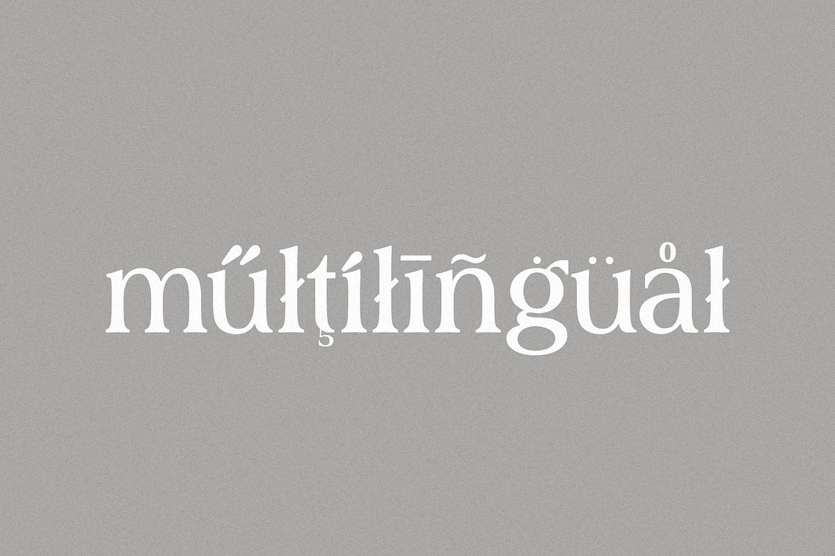 stardust - classical & vintage serif, a Serif Font by Mikhail Kitsune (Photo 8 of 8)