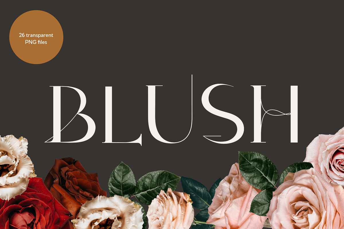 Vintage Rose Digital Flowers, an Illustration by La Paloma (Photo 3 of 3)