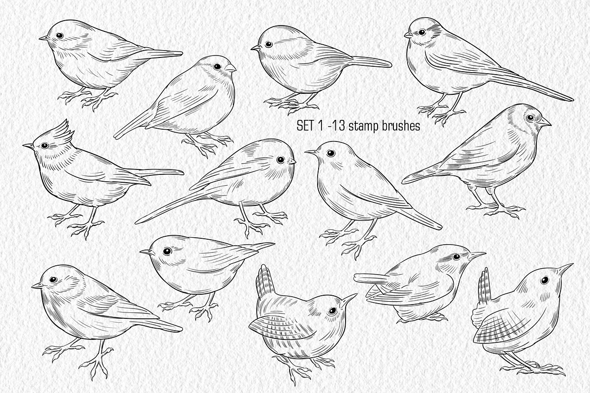 Birds Stamp brushes for Procreate, a Brush Add-On by ViktoriArt (Photo 2 of 7)