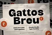 Gattos Breu Modern Retro Sans Serif, a Sans Serif Font by Pixesia Studio (Thumbnail 1 of 13)