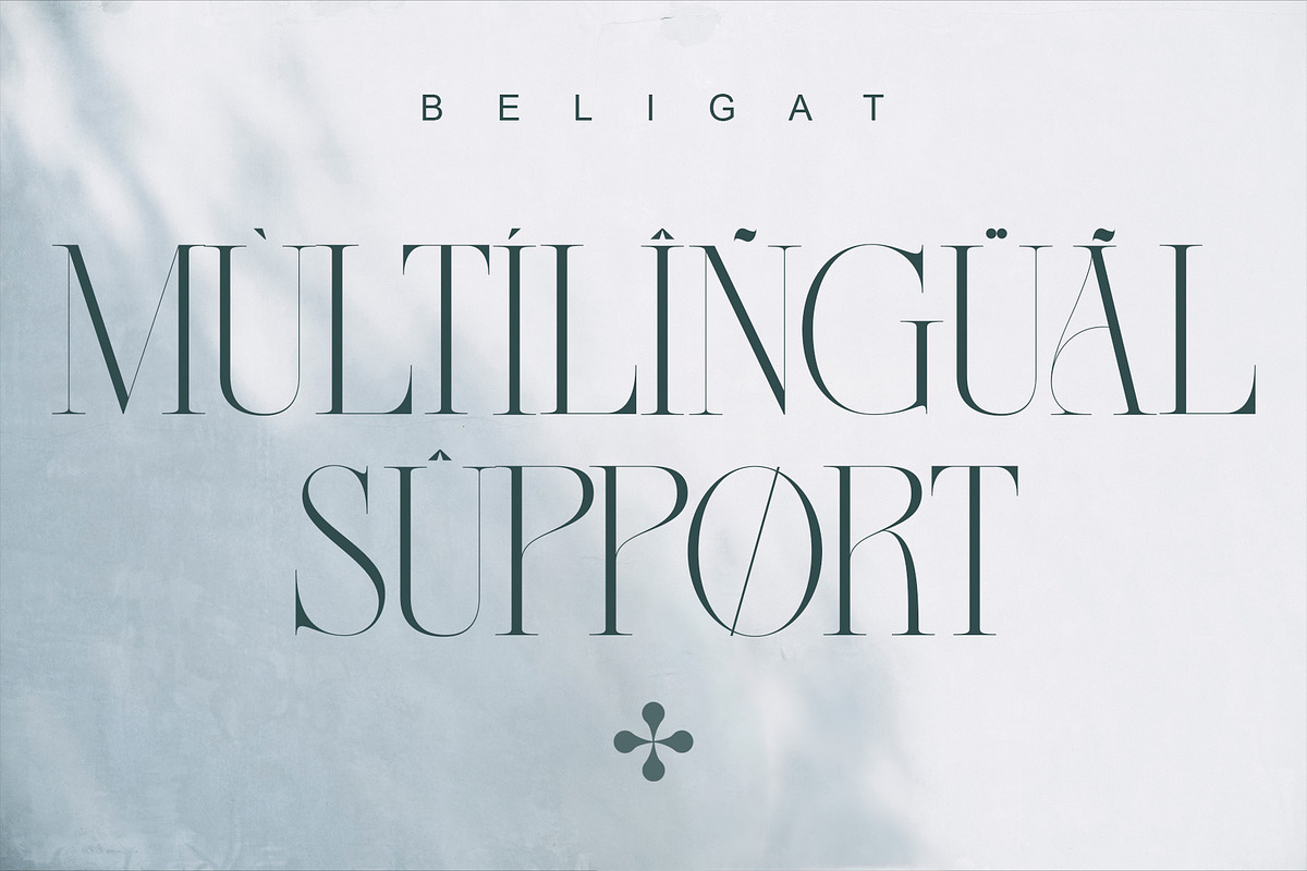 Beligat Elegant Ligature Serif, a Serif Font by Alfinart (Photo 10 of 10)