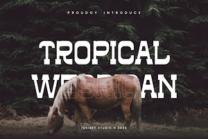 Tropical Wesrican - Western Font, a Slab Serif Font by Iqsiart Studio