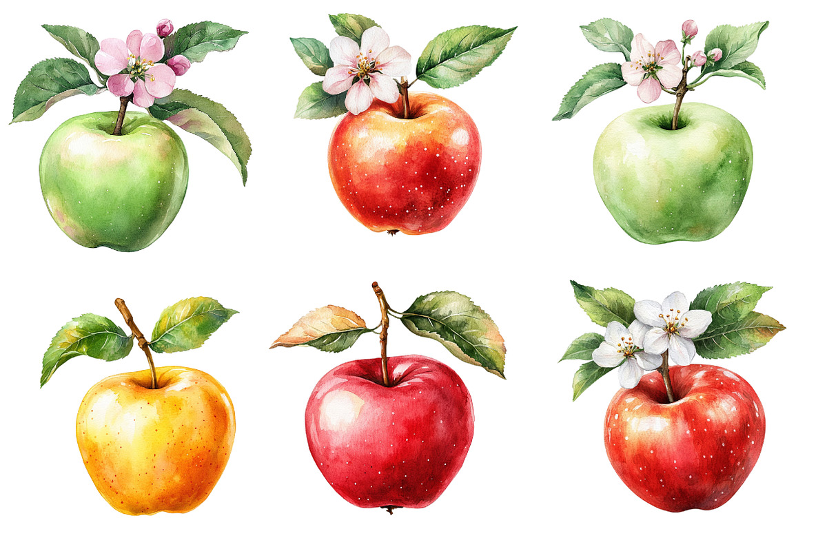 Watercolor Apples Floral Clipart, an Illustration by Designworld (Photo 5 of 6)