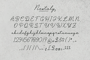 Nestaly Monoline Script Handwritten, a Script Font by gracetype_studio (Thumbnail 15 of 16)