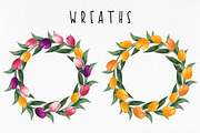 Watercolor tulips clipart bundle, an Object Graphic by MiraBell (Thumbnail 3 of 5)