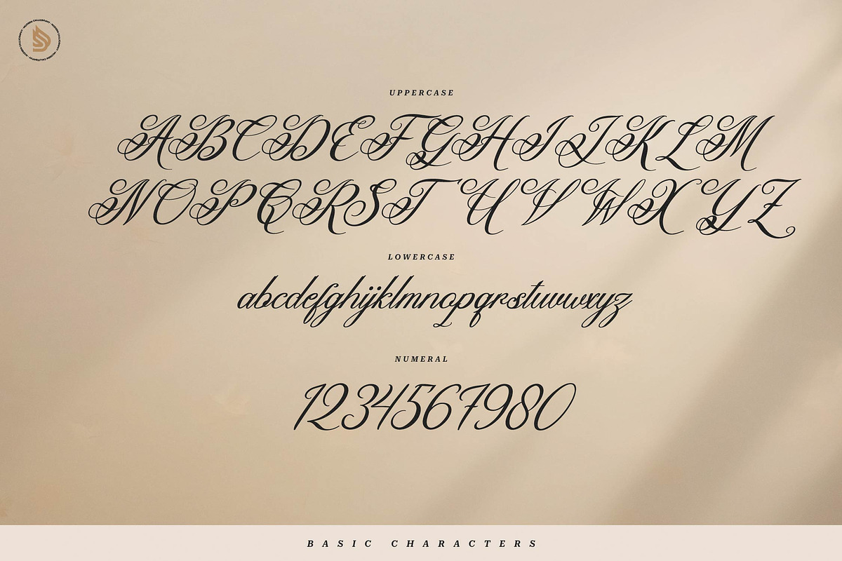 Katarina Delvor | Modern Calligraphy, a Script Font by gracetype_studio (Photo 13 of 15)