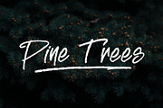 BREAKING RULE - Rough Brush Font, a Script Font by NTC Graphic (Thumbnail 2 of 9)