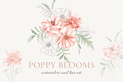Poppy Blooms – Watercolor & Line Art, a Decorative Illustration by Liliia Polos Illustration (Thumbnail 1 of 11)