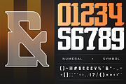 Sravex Sports - Modern Logo Font, a Serif Font by Nirmana Visual (Thumbnail 7 of 12)