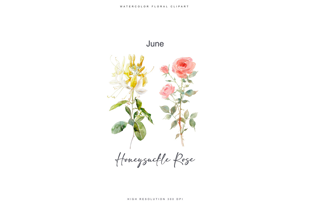 watercolor birth flowers collection, a Decorative Illustration by Patishop Art (Photo 5 of 9)