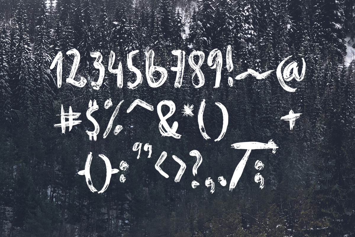 Fjord Brush Font preview 5