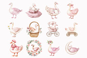 Watercolor Pink Goose Clipart, an Illustration by Design Market (Thumbnail 4 of 5)