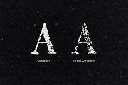 Croak Typeface, a Serif Font by Tugcu Design Co. (Thumbnail 3 of 5)