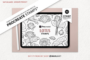 Lotus Flower Vector Line Art Set