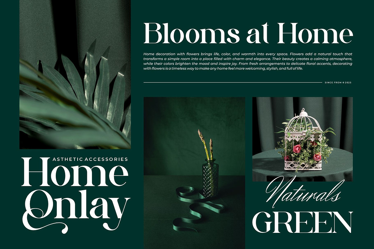 Adollia || Modern Elegant Serif Font, a Serif Font by Ermedia Studio (Photo 10 of 10)