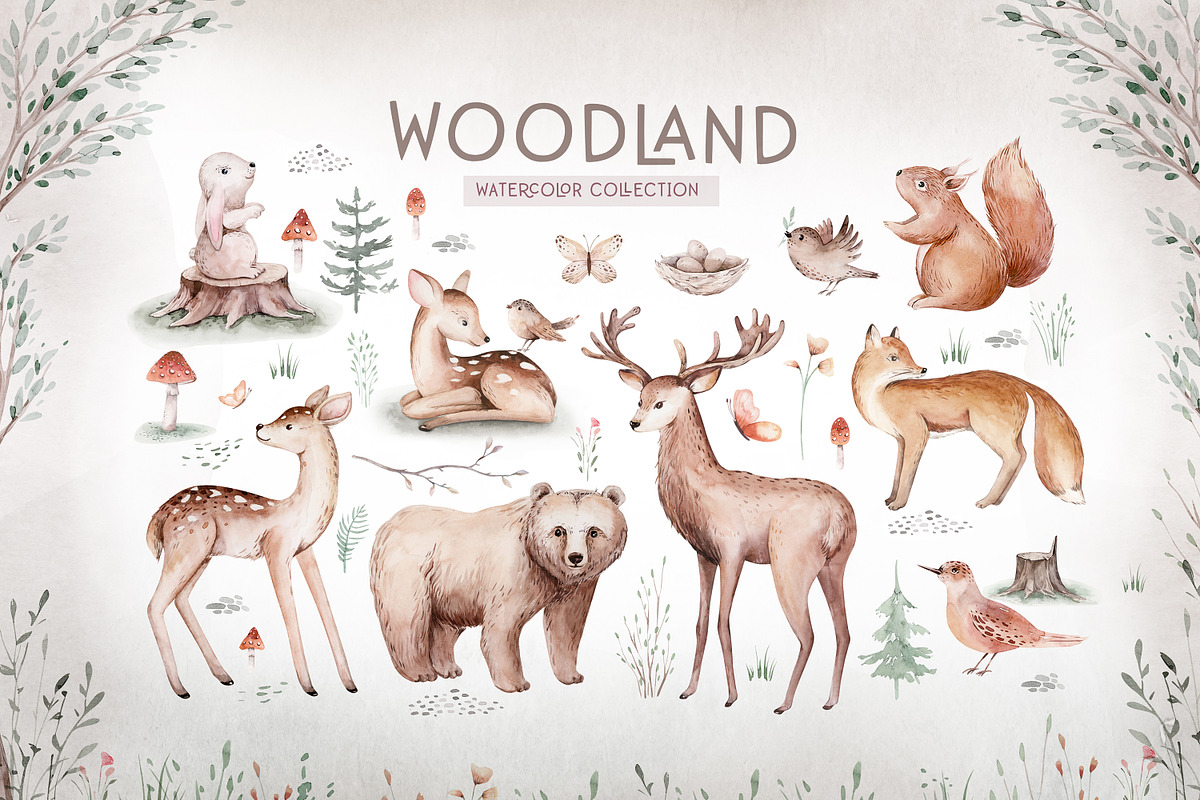 Watercolor woodland collection, an Animal Illustration by Peace ART (Photo 2 of 14)