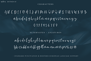 Wyldling Script, a Script Font by Beck McCormick (Thumbnail 10 of 10)