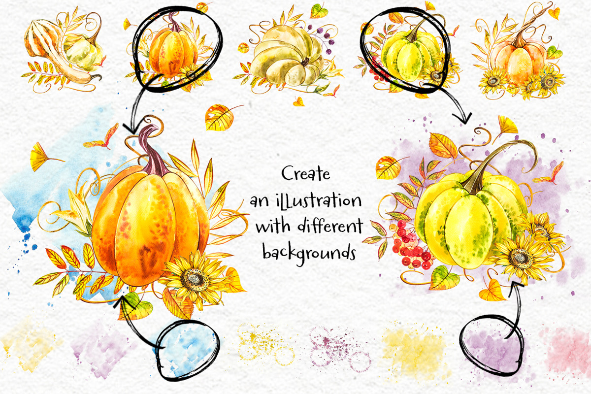 Pumpkins watercolor collection, a Food Illustration by Ann Astro (Photo 11 of 17)