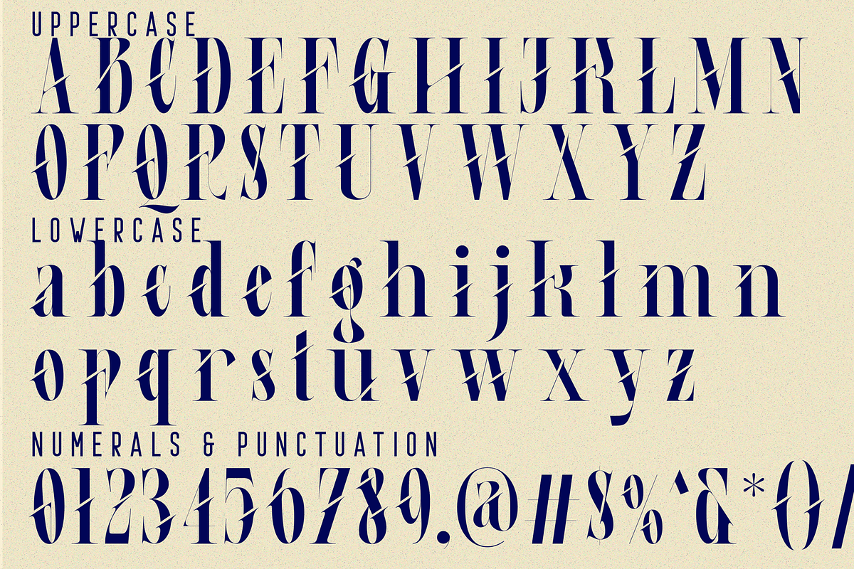 Physical Realities Font, a Serif Font by 177Studio (Photo 7 of 8)