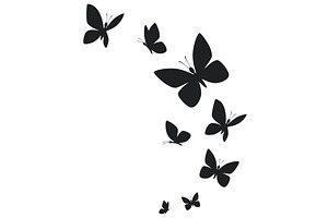 Butterflies silhouette flying on