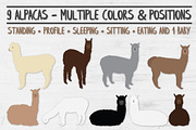 Alpaca Clipart and Accessories, an Animal Illustration by VizualStorm (Thumbnail 3 of 3)
