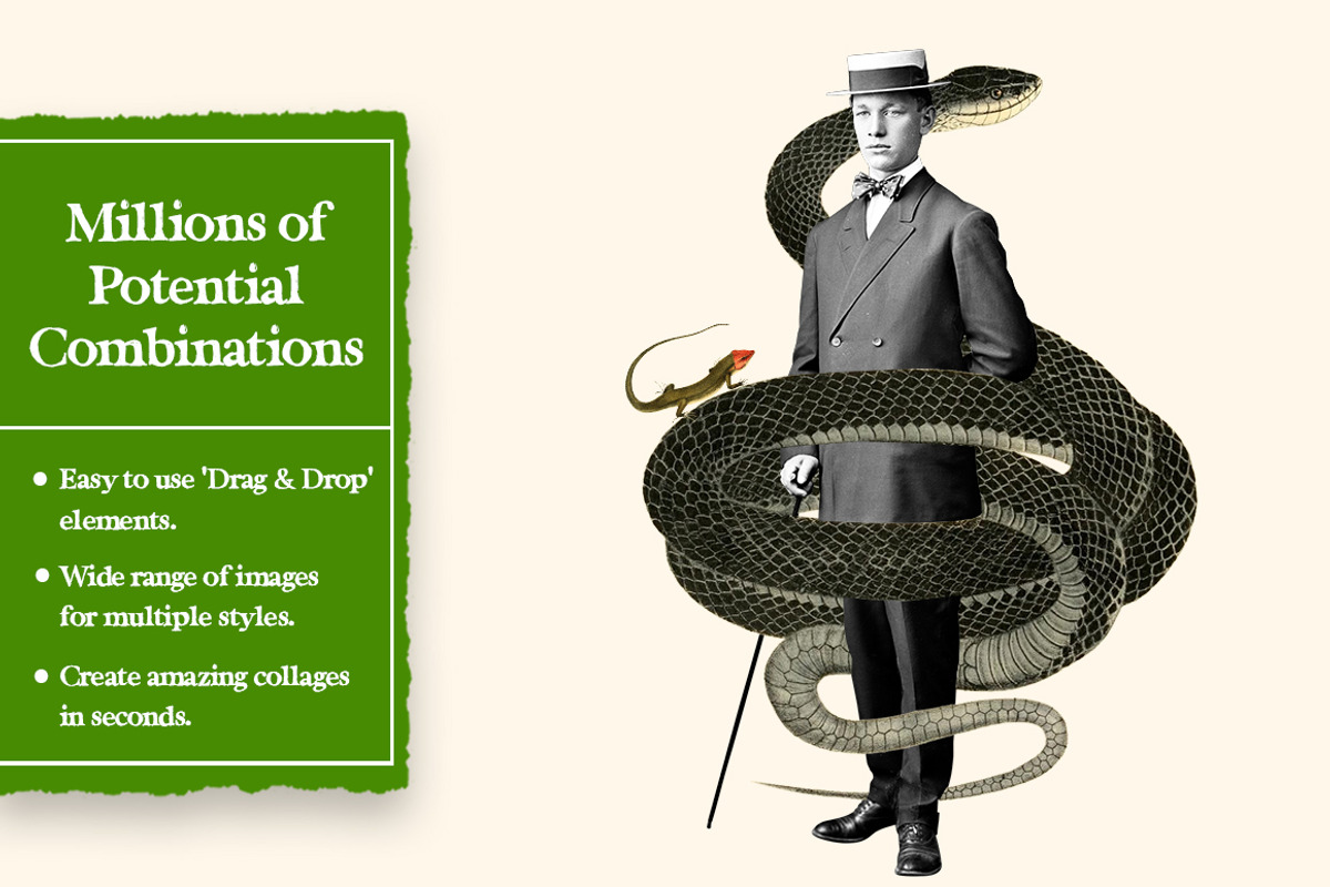 Vintage Snakes Digital Collage Pack, an Object Graphic by Collage Supply Co (Photo 2 of 3)