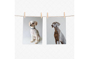 A4 prints mockup with clothespins, a Print Template by Dorado Stock (Thumbnail 3 of 3)