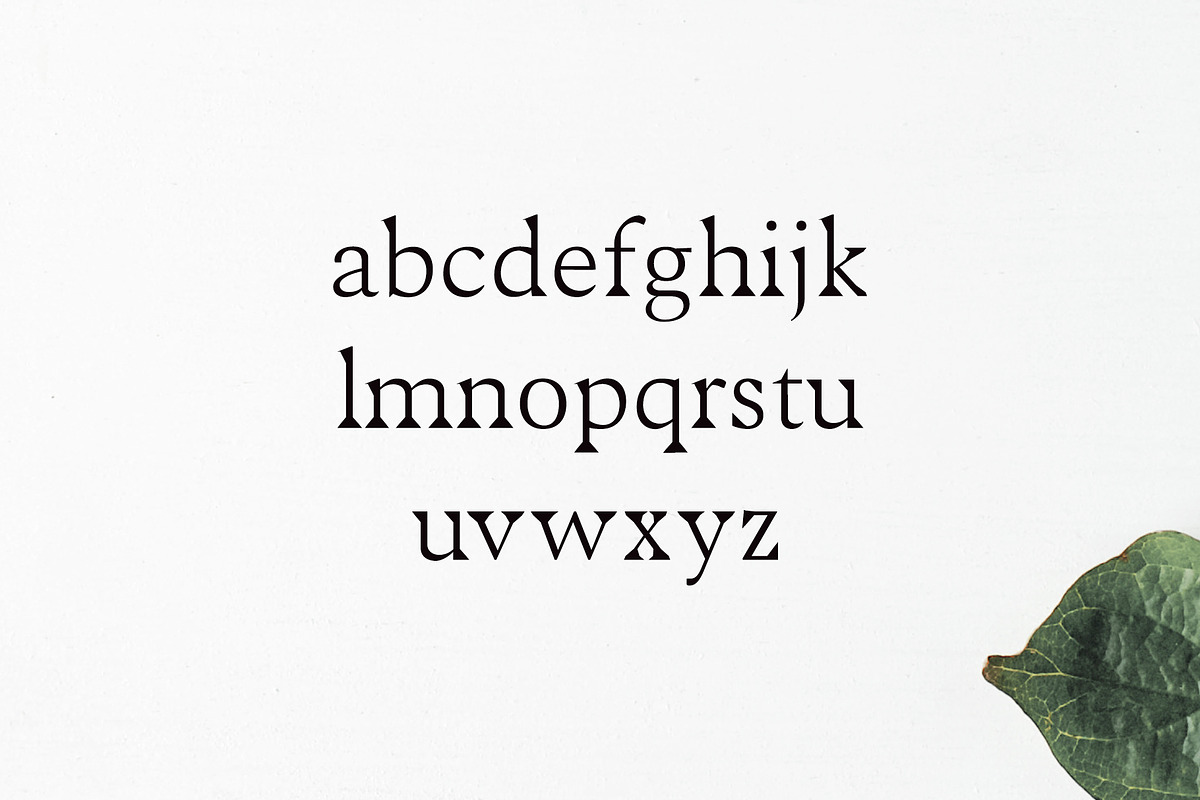 Maddex Serif 3 Font Family preview 3