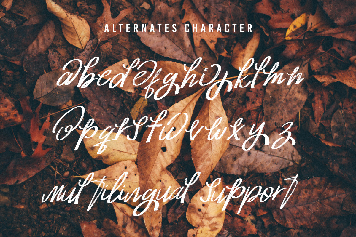 Josephine Brushes Script Font, a Script Font by Say Studio (Photo 9 of 10)