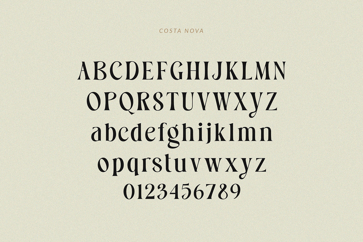 Costa Nova || display Ligature serif, a Serif Font by ToniStudio (Photo 10 of 12)