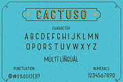 Sans Serif Font - Cactuso, a Serif Font by Collapse Std. (Thumbnail 2 of 7)