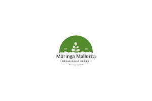 Moringa Leaf Logo