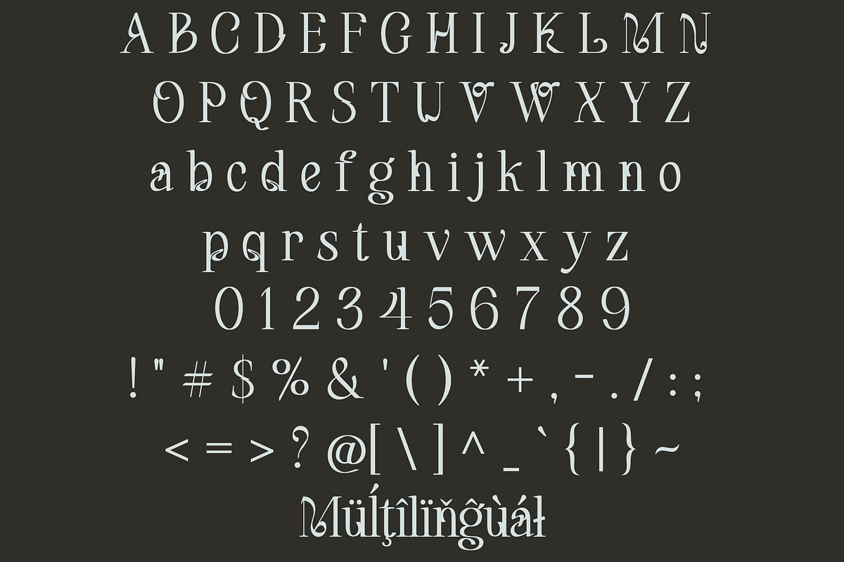 Maerulin – Serif Font, a Serif Font by NDNL Studio (Photo 11 of 13)