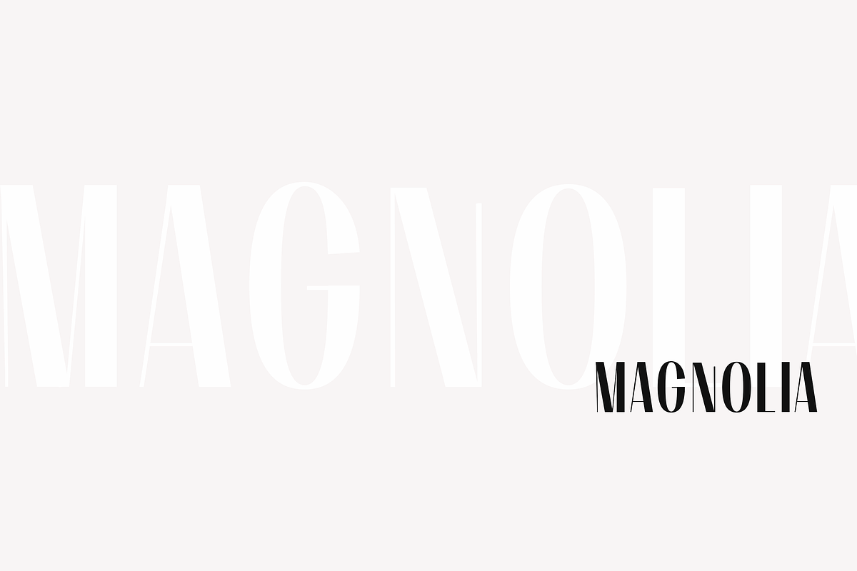 Wilk - A Classy Sans Serif Font preview 3