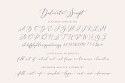 Delicate Elegant Script & Ornaments, a Script Font by Mila Garret (Thumbnail 9 of 11)