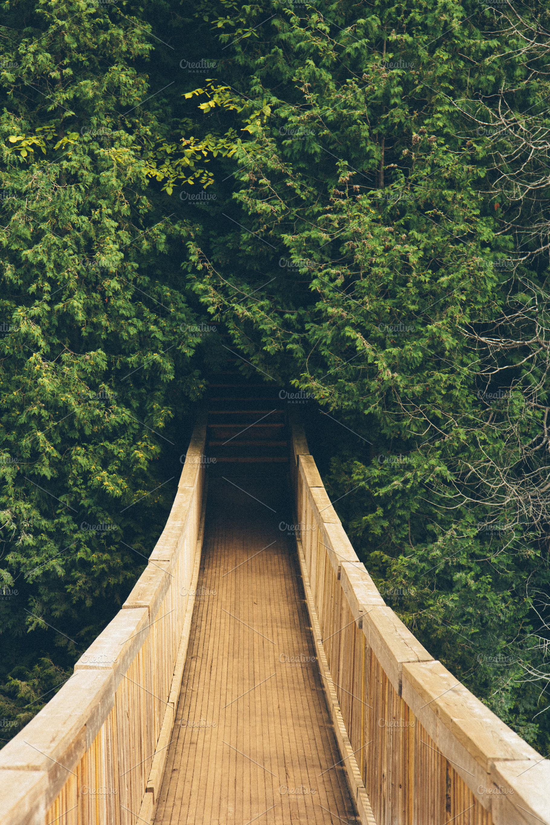 Wooden Suspended Bridge in Forest 2, a Nature Photo by Jamie Pickering