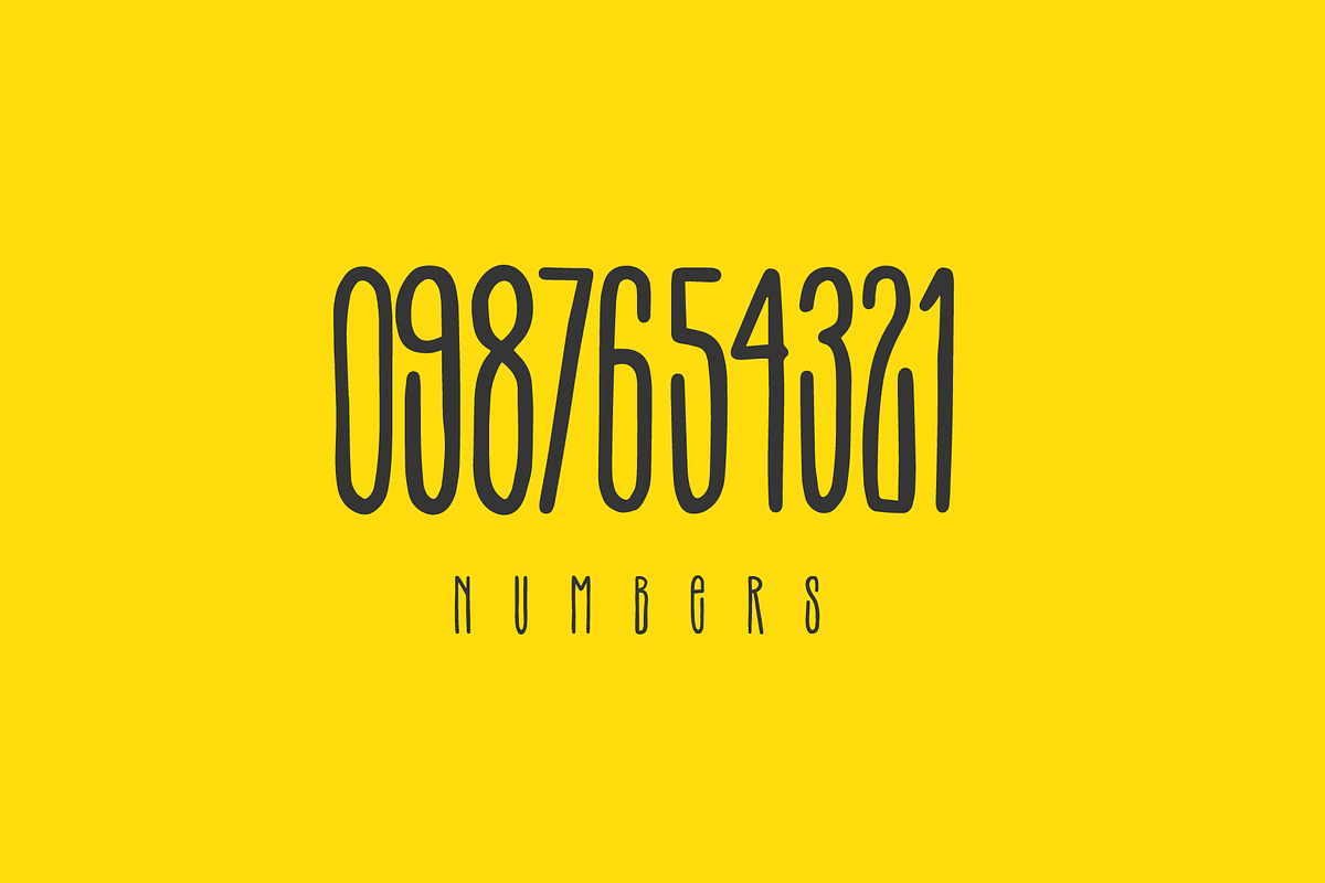 Terek font, a Script Font by Visio studio (Photo 11 of 11)