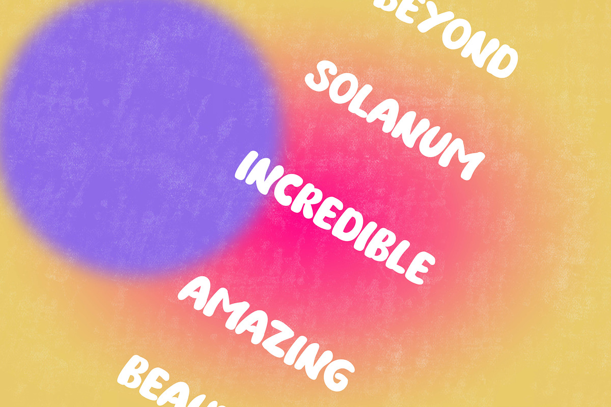 Solanum | Playful Font Display, a Serif Font by Scandy Font (Photo 6 of 7)