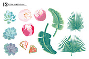 SALE! Palm Succulent Illustrations, an Illustration by Josty (Thumbnail 3 of 7)