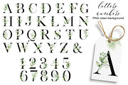 Leaves clipart set, Alphabet png., an Invitation Template by Larisa Maslova (Thumbnail 3 of 13)