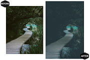 12 Mysterious Forest Photoshop, an Action Add-On by Hue Palettte Studio (Thumbnail 6 of 10)