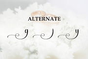Wedding | Script Font, a Handwritten Font by Scratchones (Thumbnail 8 of 9)