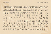 Elmaro – Modern Font, a Sans Serif Font by Craft Supply Co. (Thumbnail 8 of 8)